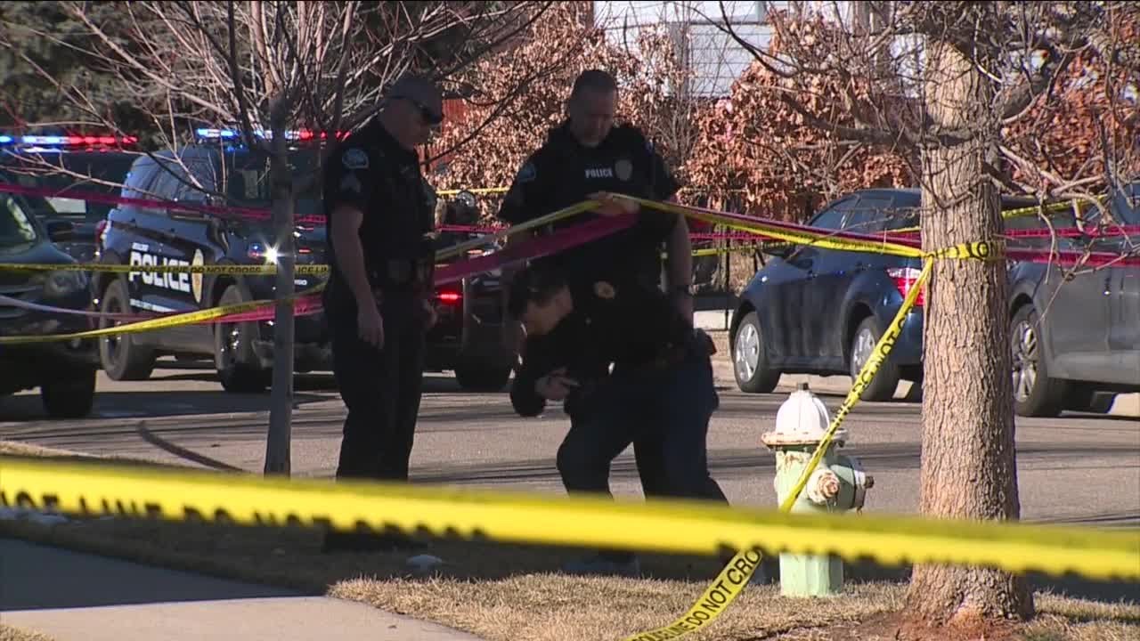 Dog attack critically injures person in Boulder; police shoot, kill dog