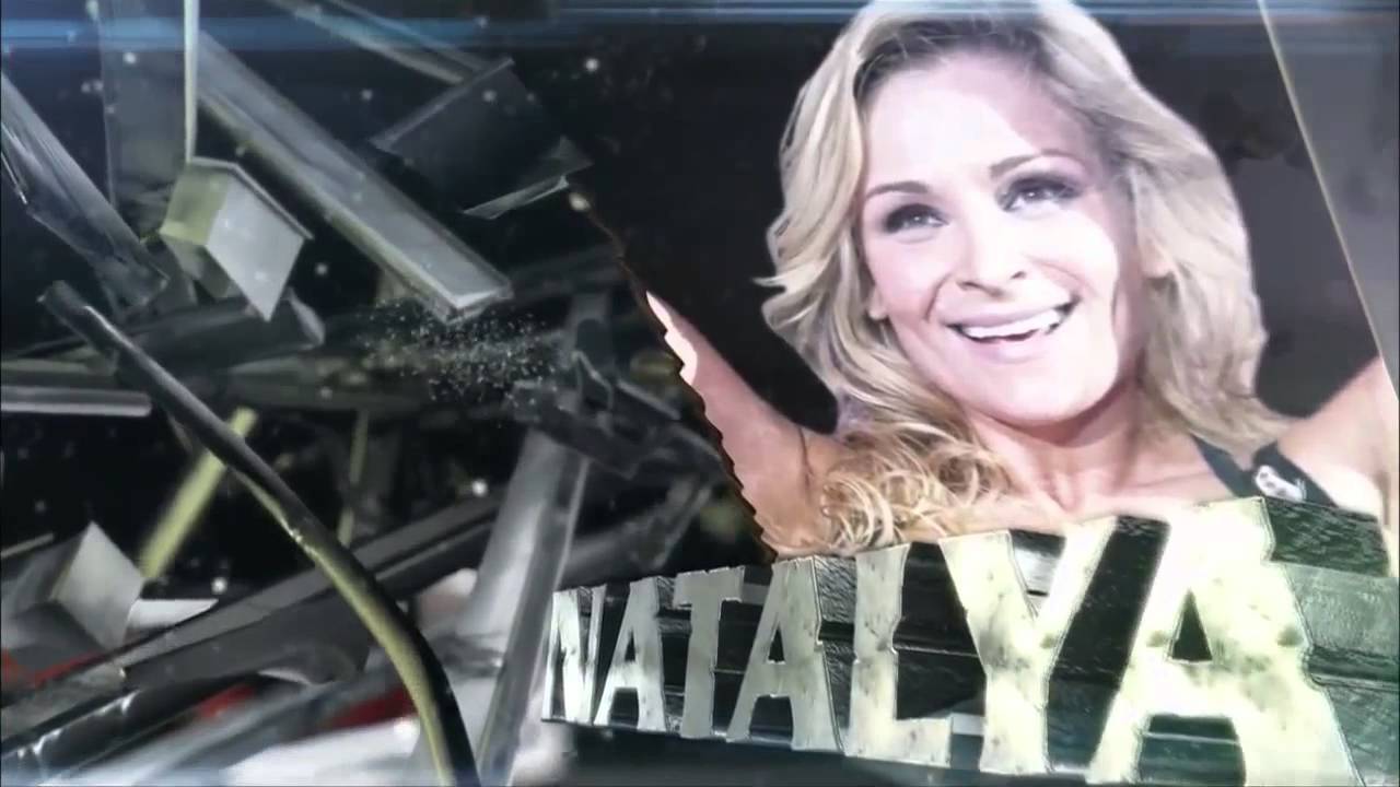 TLC 2013 Full Match Card