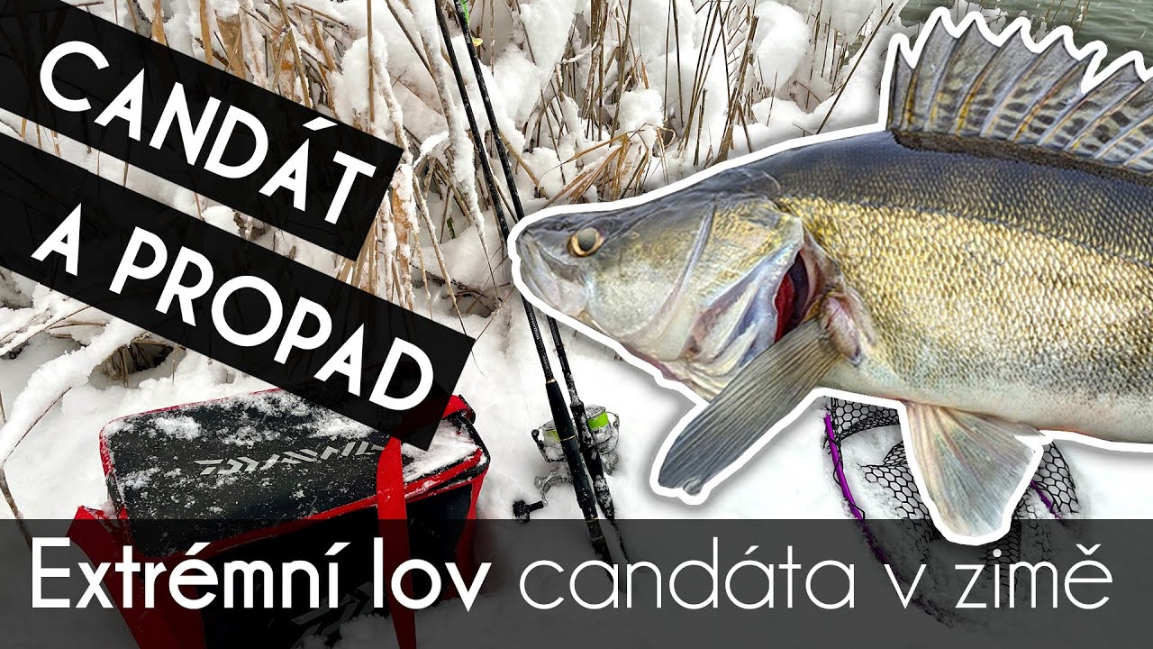 Úspěšný lov candátů na nymfu RedBass propadem v extrémních sněhových podmínkách!