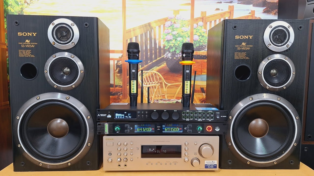 Hơn 2tr 400w/đôi loa Sony bass Carbon 27cm nghe nhạc karaoke gia đình em Ánh 0977658574