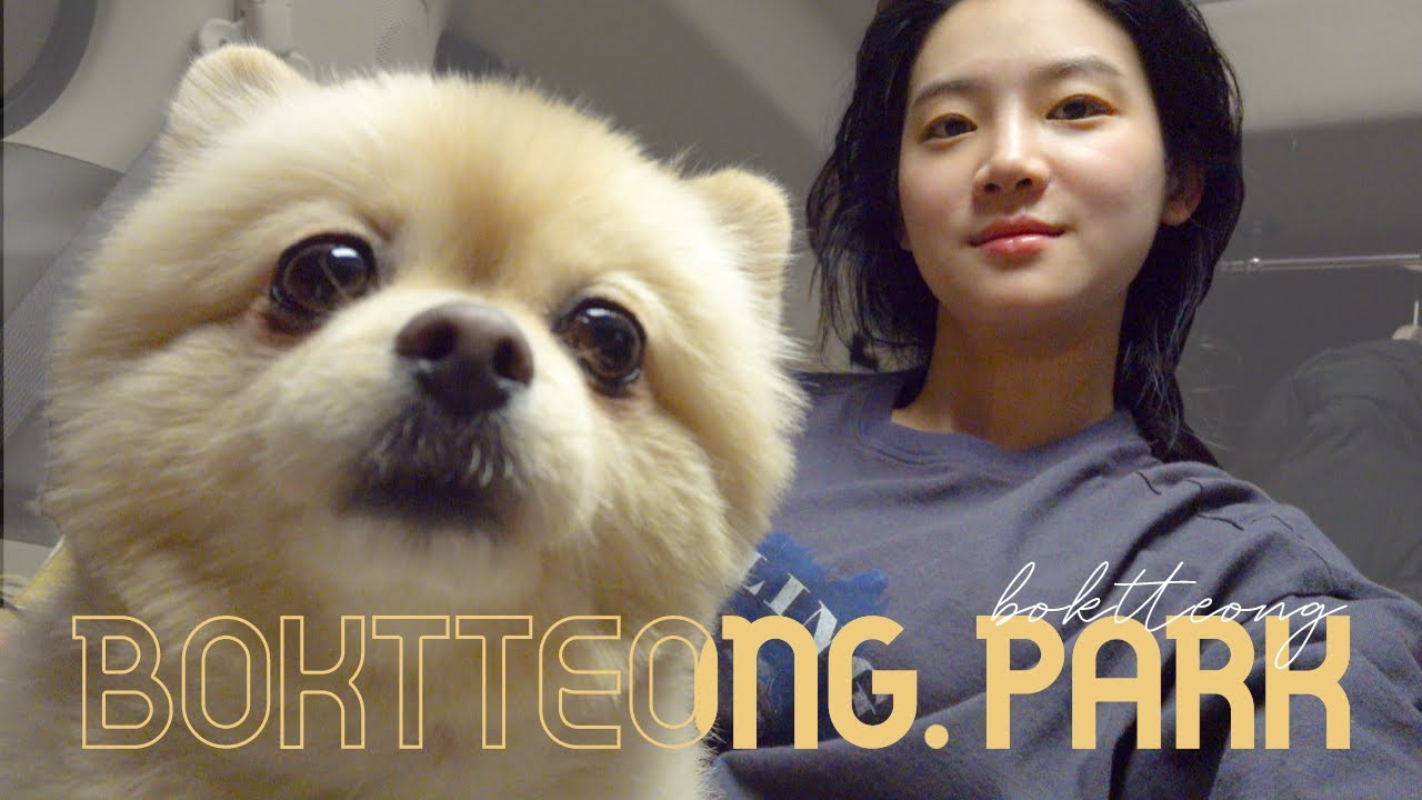 손, 입, 하이파이브, 뽀뽀 다하는 복떵이🐶 보고 가세요😍 (까까는 필수..)ㅣWelcome to my Boktteong. park