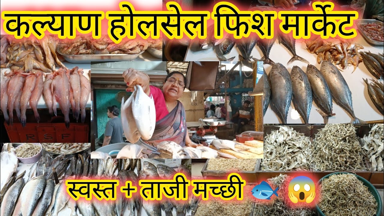 कल्याण होलसेल फिश मार्केट 🐟🐠स्वस्त ताजी मच्छी😱