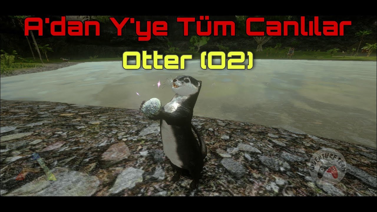 A'dan Y'ye Ark Mobile Canlıları | Otter (O2)