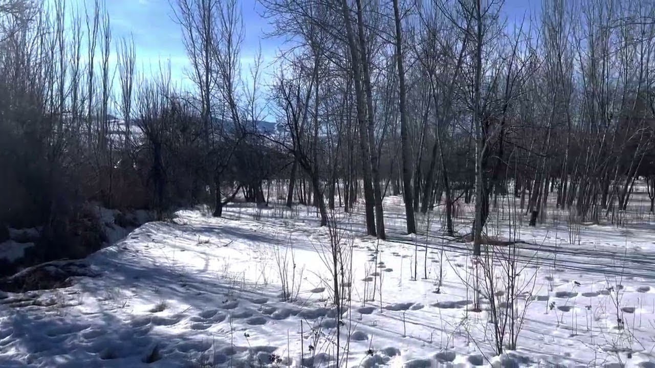 Snow and the beautiful nature of Iran