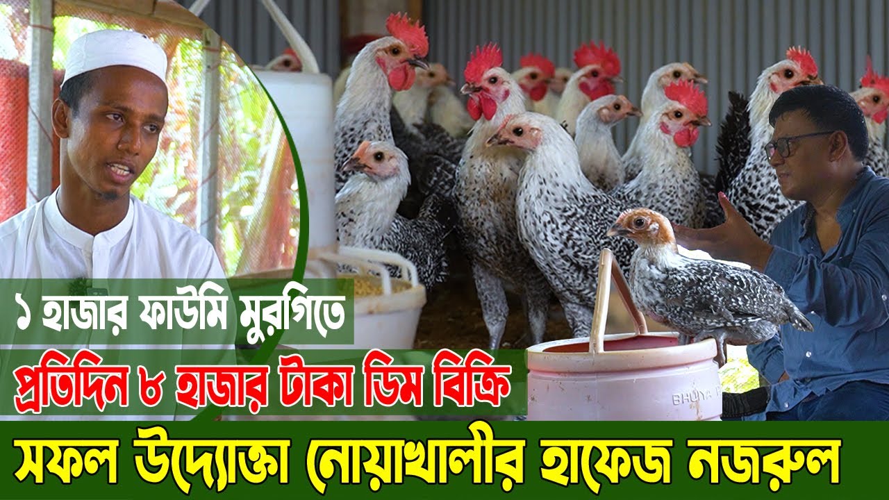 ইমামের ৩ হা*জার টা*কা বেতনে ফাউমি মুরগির খামার। সফল উদ্যোক্তা নজরুল