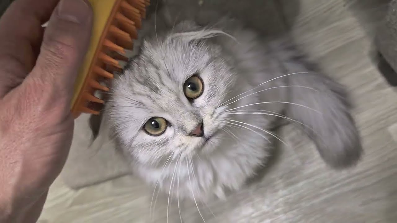 Нам не всё равно 