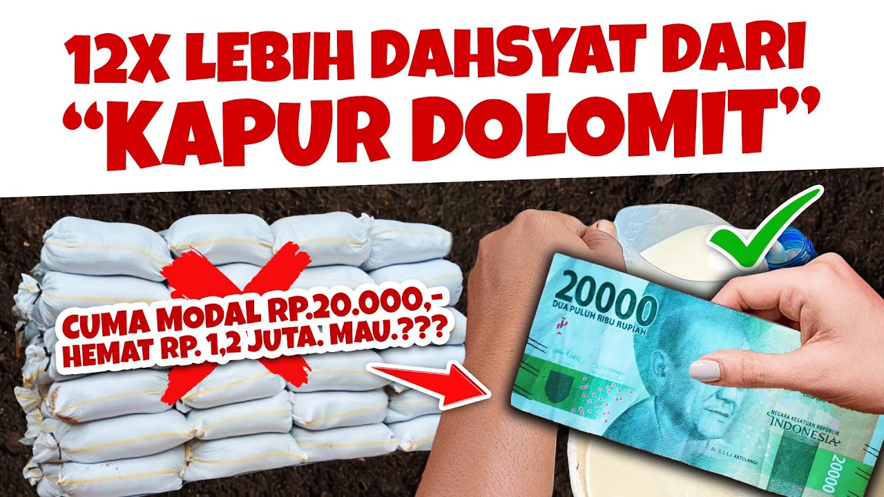 MODAL Rp. 20.000 HEMAT 1,2 JUTA. MAU.??? MEMBUAT PUPUK PENETRAL PH TANAH PENGGANTI KAPUR DOLOMIT