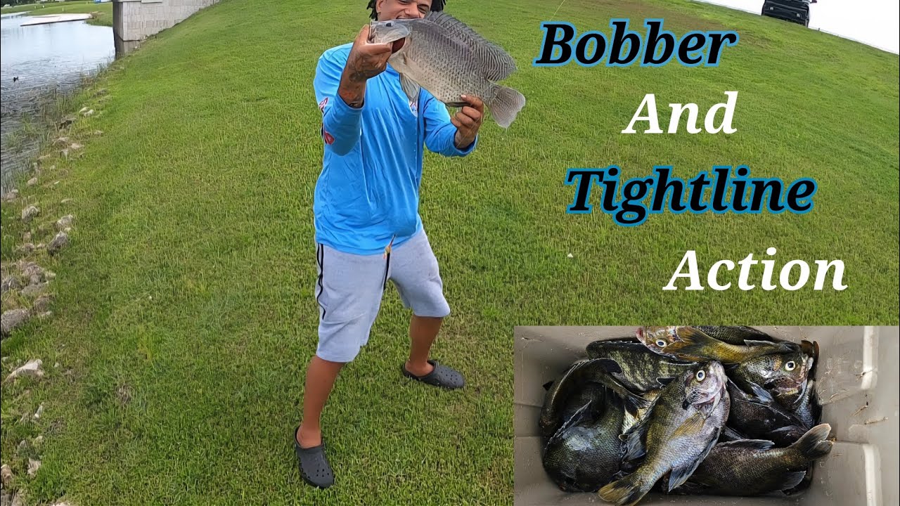 Bank Fishing With My Son‼️#bluegillfishing 