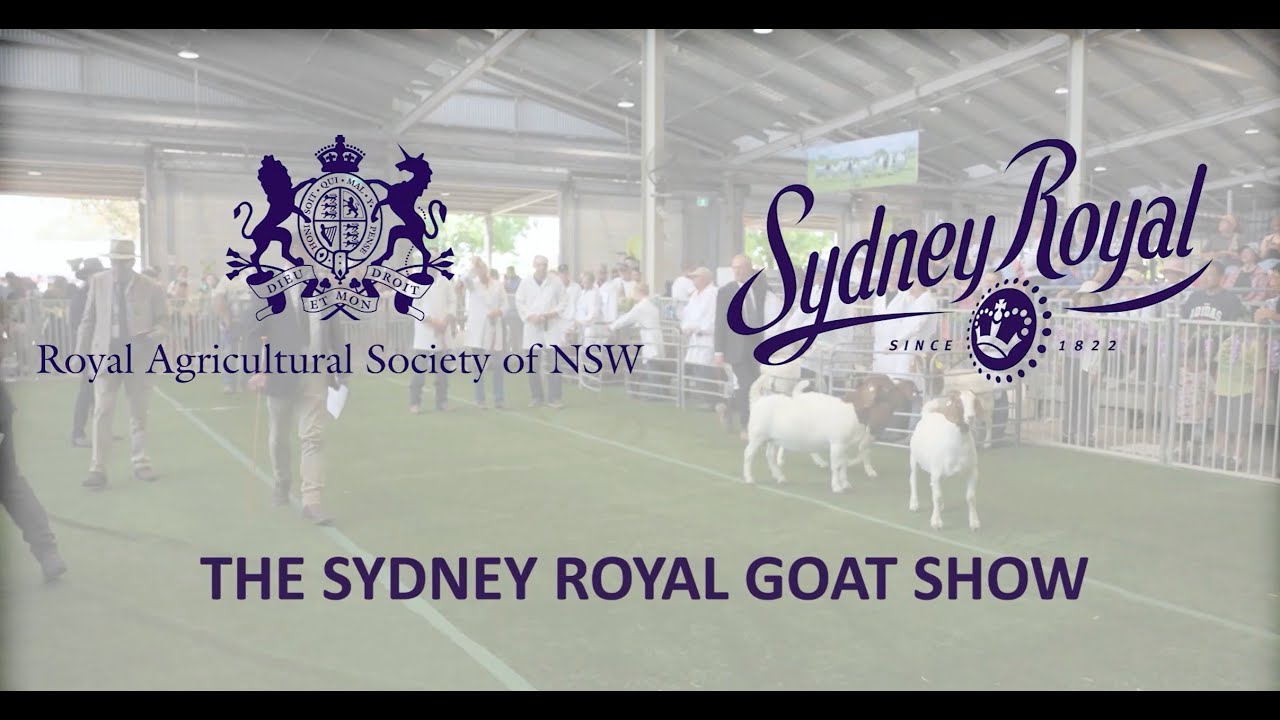 The Sydney Royal Goat Show