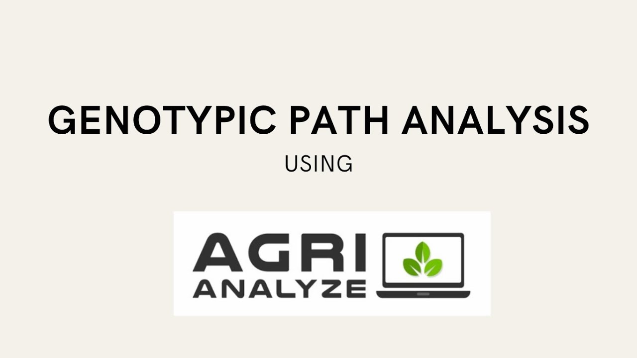 Genotypic Path Analysis along with interpretation using Agri Analyze