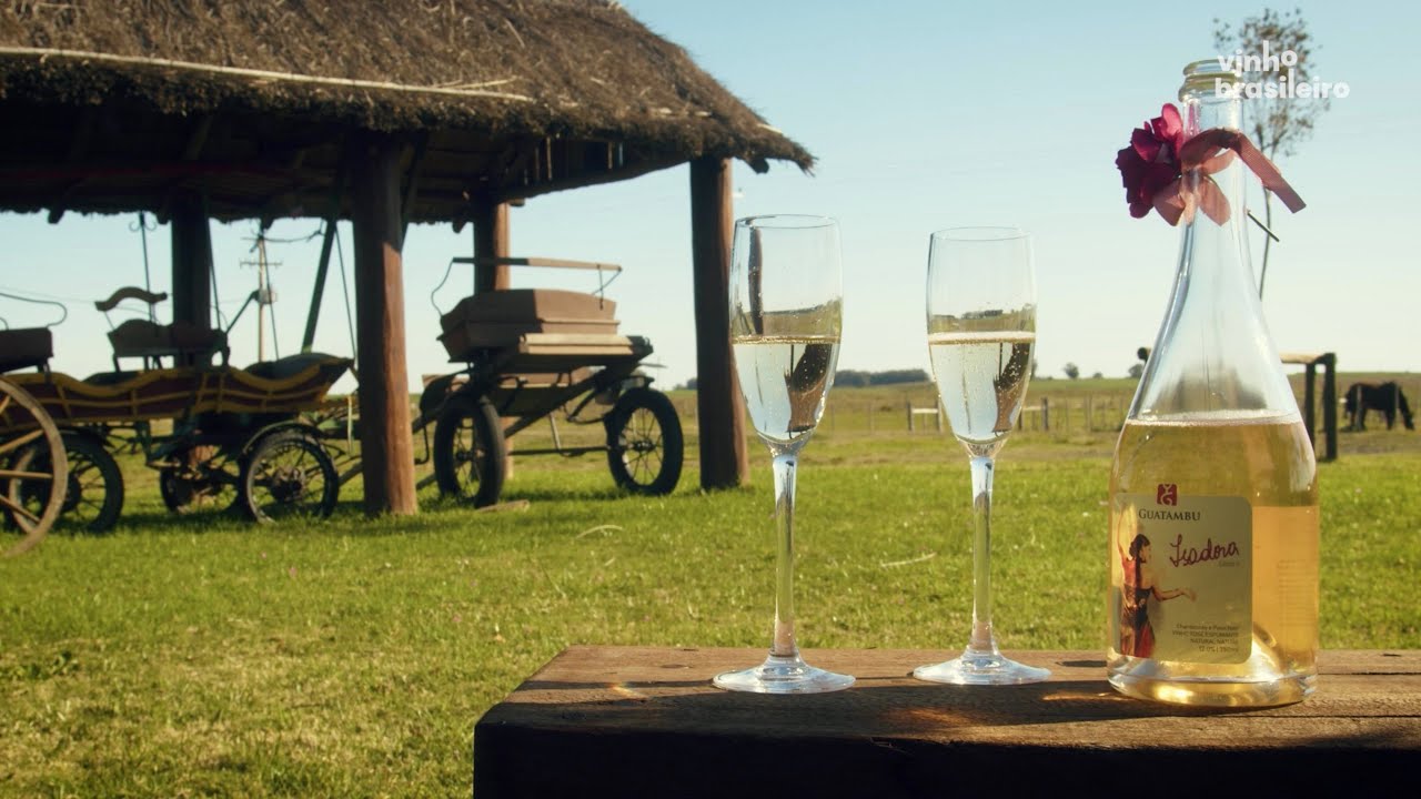 Vinhos da Campanha Gaúcha | Turismo do Vinho Brasileiro