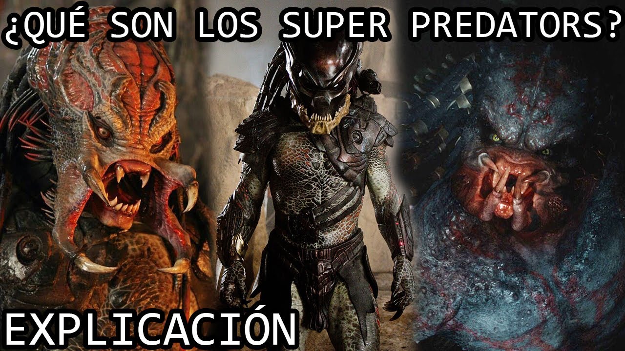 ¿Qué son los Super Predators? | El Origen de los Super Depredadores (Super Yautja) Explicados