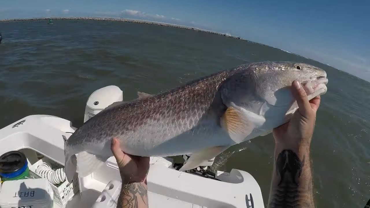 THE 5 HOUR GRIND FOR THAT 1 TROPHY REDFISH