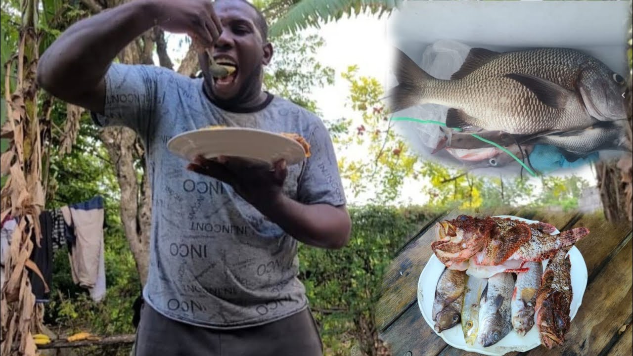 COCONUT CURRY FISH WITH BOILD DUMPLING INDOOR COOKING