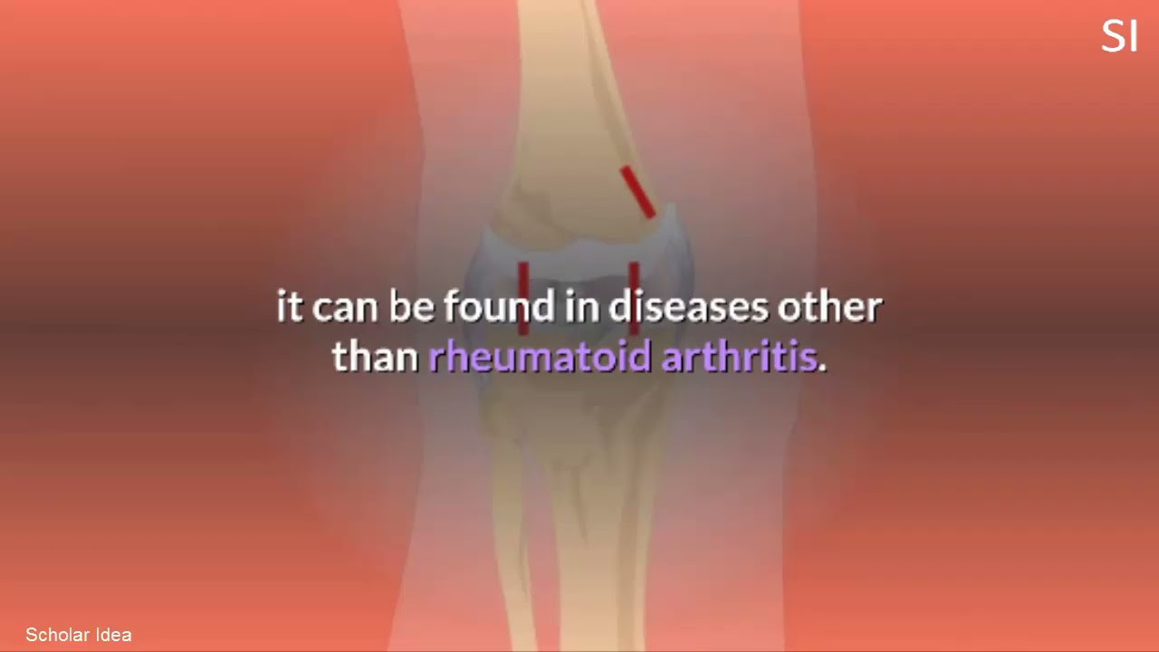 what is a Rheumatoid Factor (RF) test?