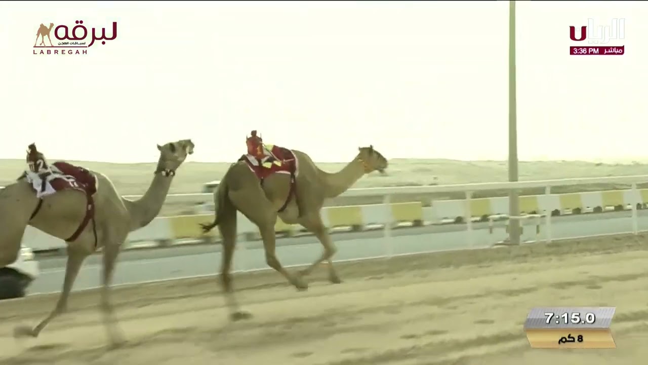 ش4 مبشرة لـ مانع علي الشامسي (مهرجان أمير البلاد المفدى 15-04-2025م) السيف الفضي حيل مفتوح 12:24:01