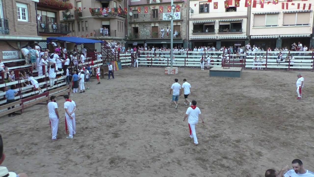 Mendavia, Fiestas 2022, Encierro y vaquillas 27/08/22, José Antonio Baigorri 