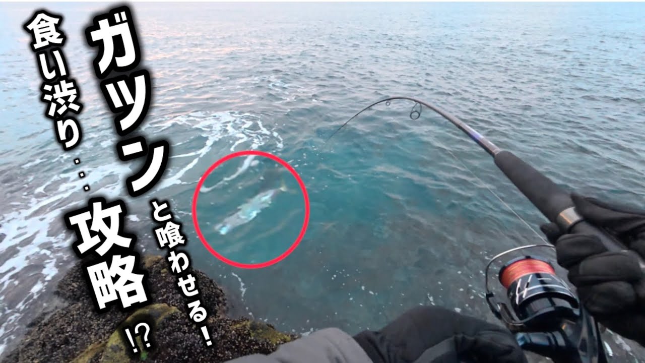 【ショアジギング】ブリを狙います🎣15  2025 