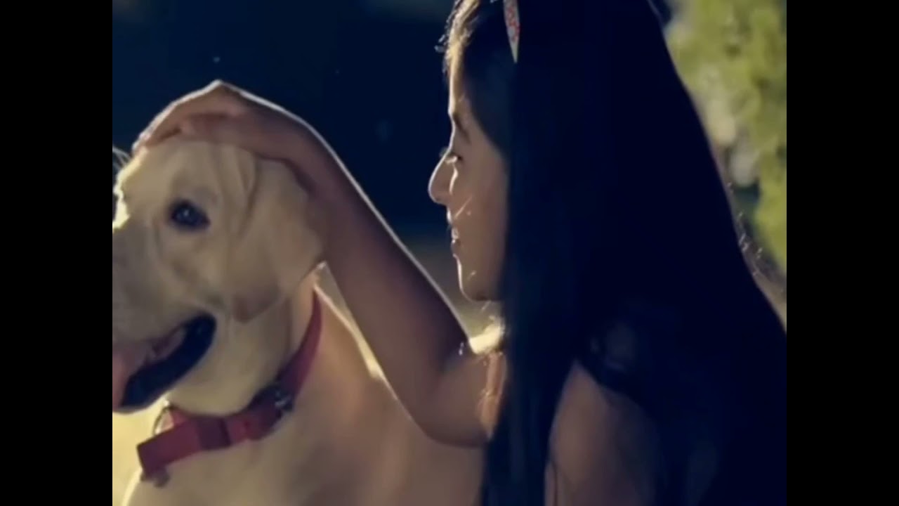 DOG LOVE  dp status WhatsApp