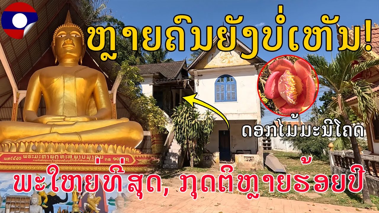 Laos🇱🇦:ວັດໄຊສະຖານ, ບ້ານໄຊສະຖານ, ເມືອງສີສັດຕະນາກ, ນະຄອນຫຼວງວຽງຈັນ, The big buddha you have never seen