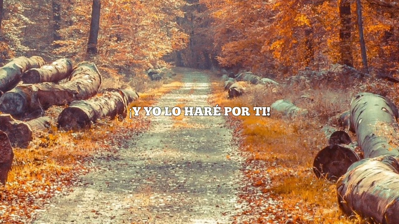 Ashley Wallbridge & Nicholas Gunn & Alina Renae - I Would Try [LETRA EN ESPAÑOL]