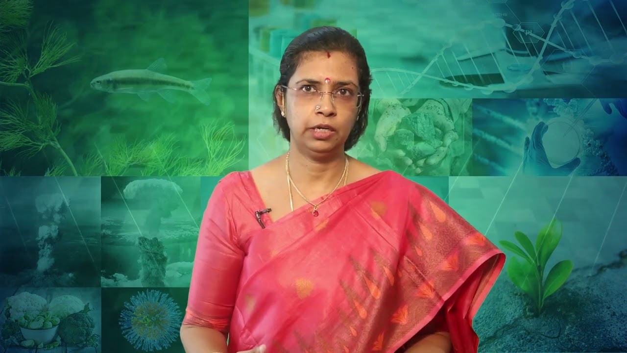 Introduction to environmental toxicology