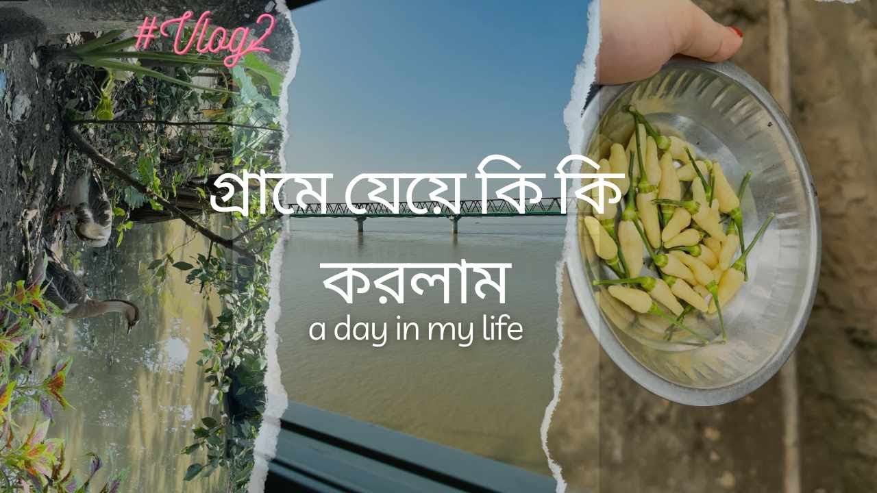গ্রামে যেয়ে কী কী করলাম?🤔||Village Vlog🌿☘️||A day in my life🌷✨|| #Vlog2🌸