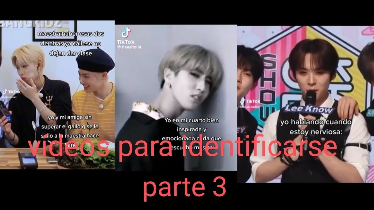 videos para identificarse de straykids parte 3