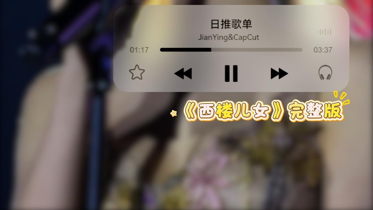 西楼儿女 完整版