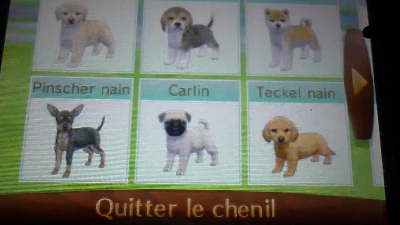 Nintendogs+cats - Nouveautés de vancances P3