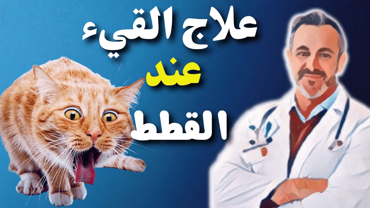 اسباب القيء عند القطط...علاج الترجيع عند القطط,القيء عند القطط