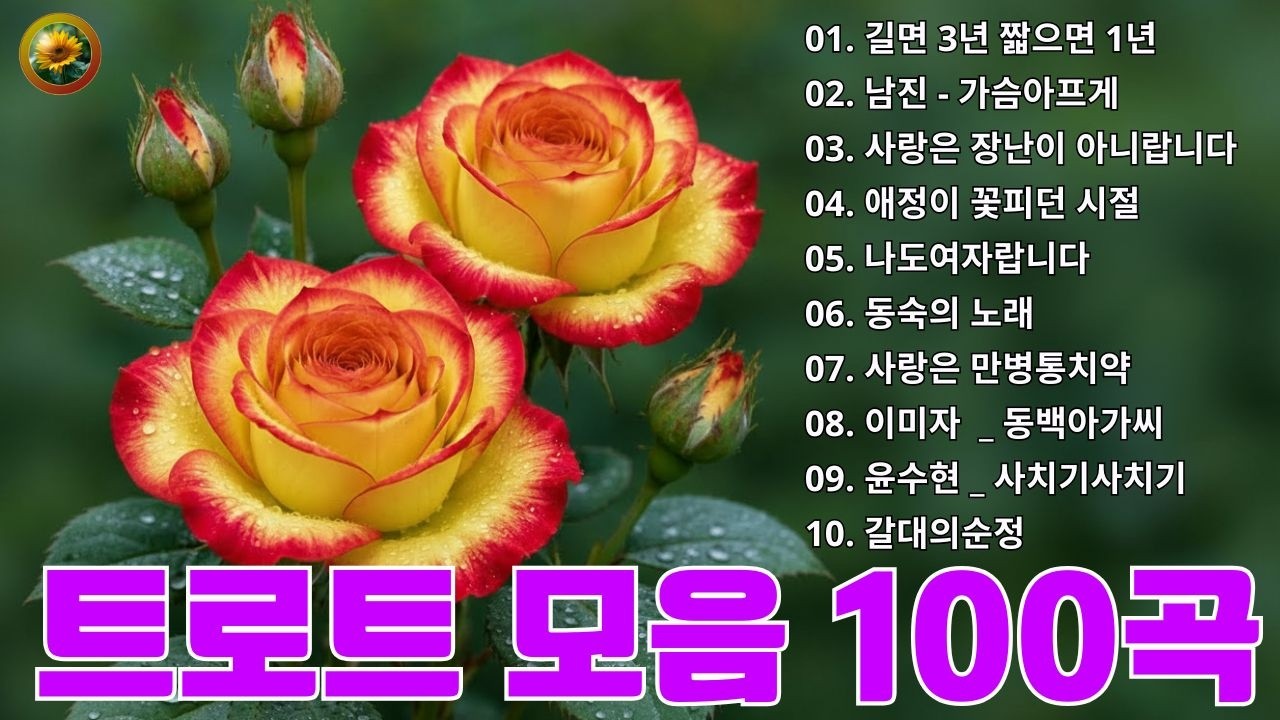 인기 트로트 히트곡 ⏱ 감성 트로트 명곡 🎶 마음을 울리는 베스트 노래 모음 💿