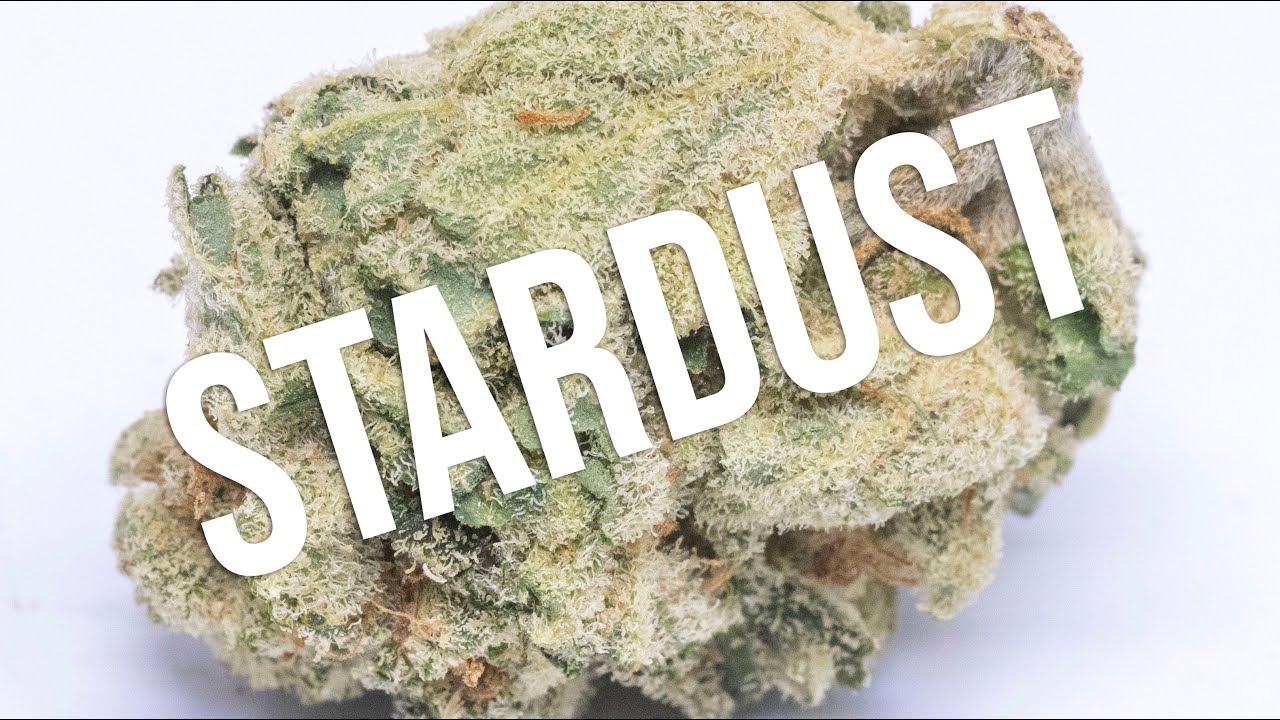 Stardust