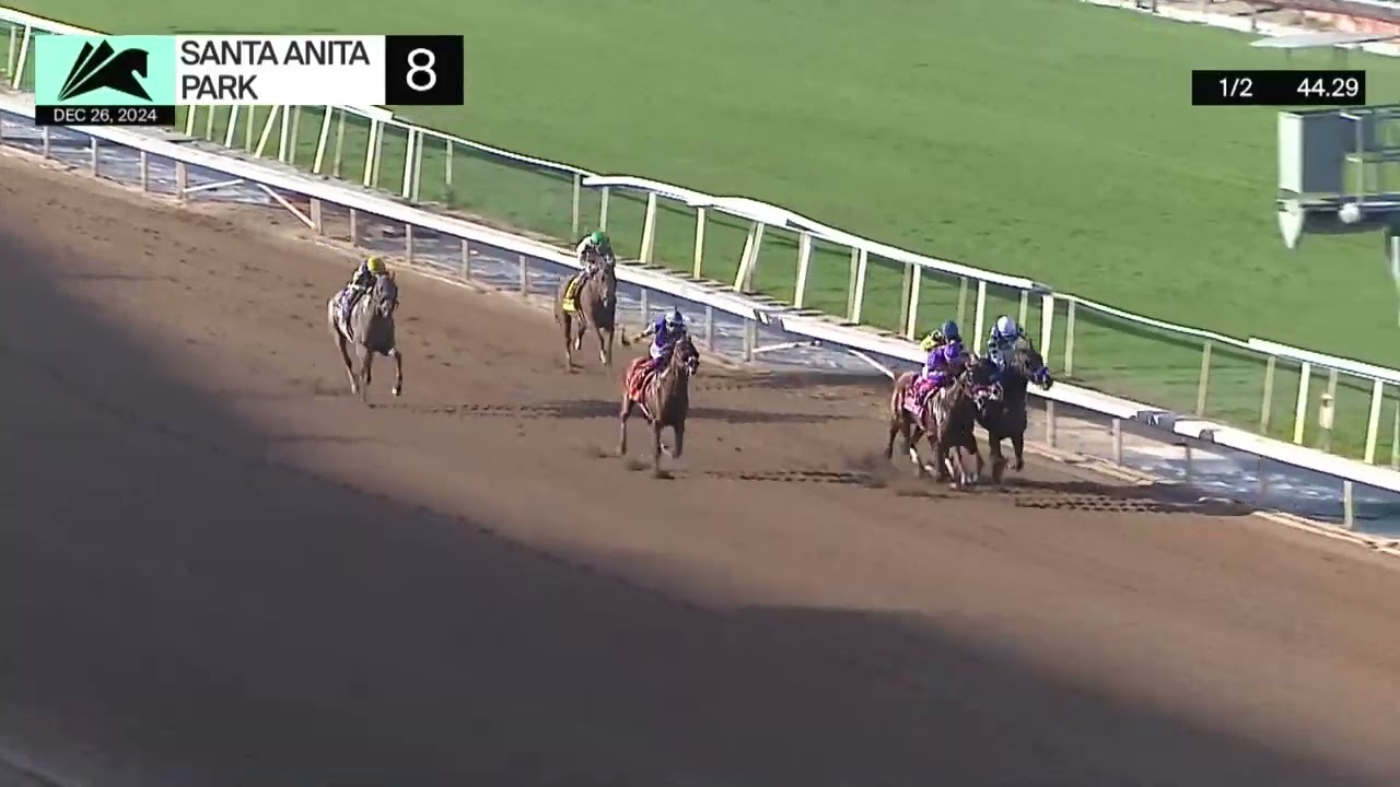 Santa Anita Park Carrera 8 ( Malibu Stakes Gr.1) - 26 de Diciembre 2024