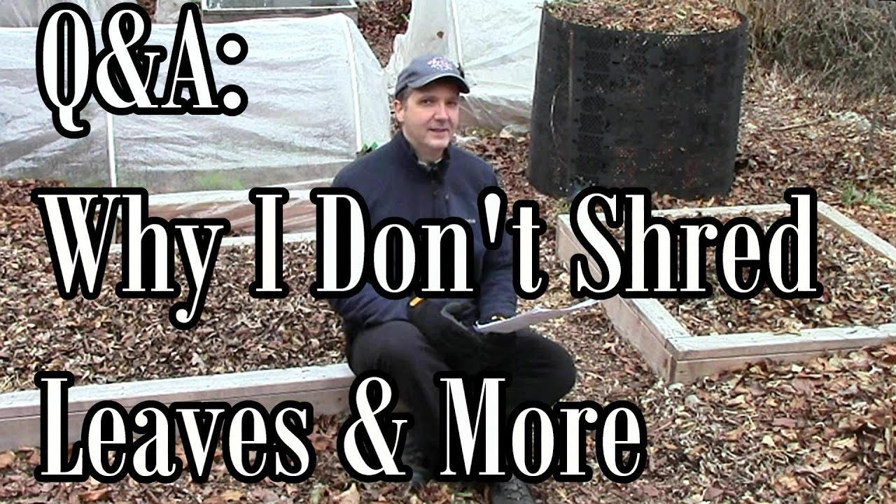 Q&A: Why I Don't Shred Leaves, The Field Trials, & Why I Narrate Videos