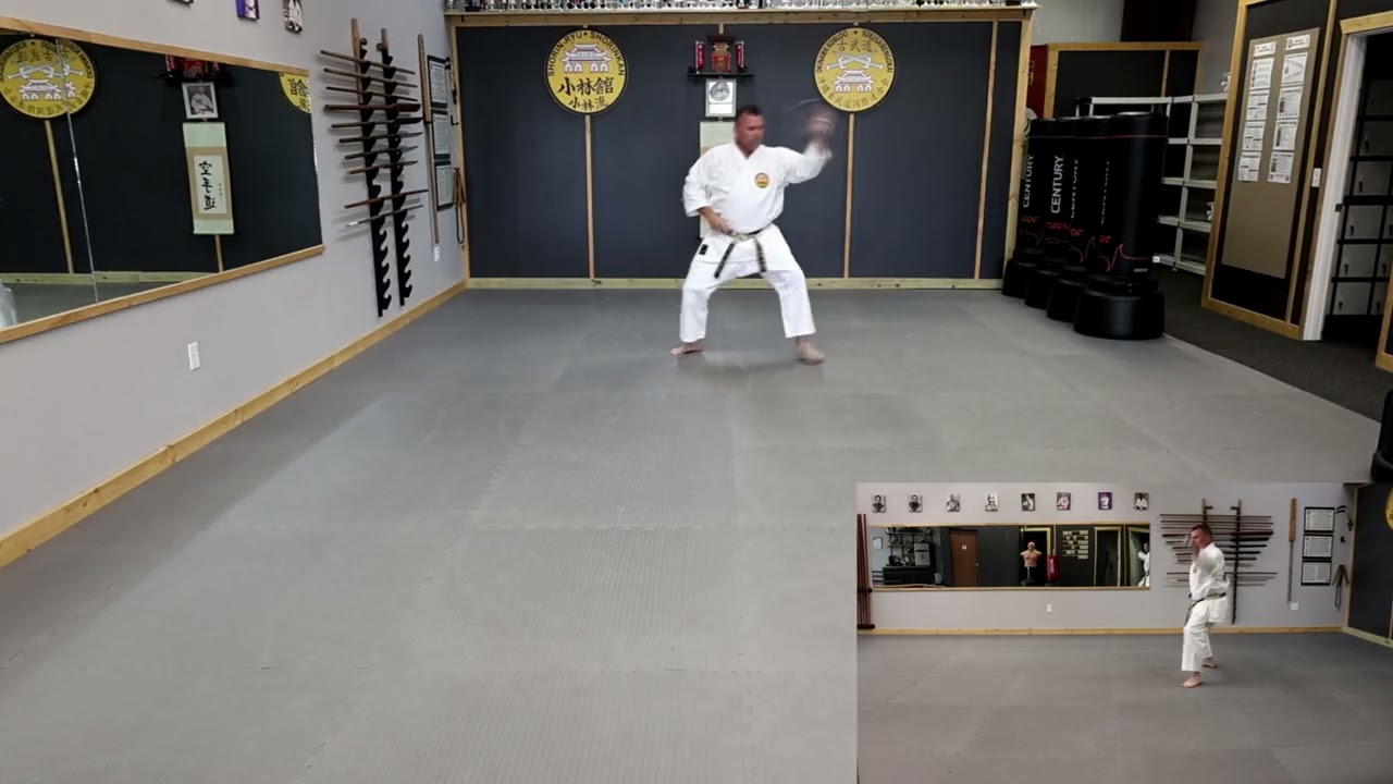 Nakaima Kenkou Sensei no Sai Dai Ichi Kata - Side View Included