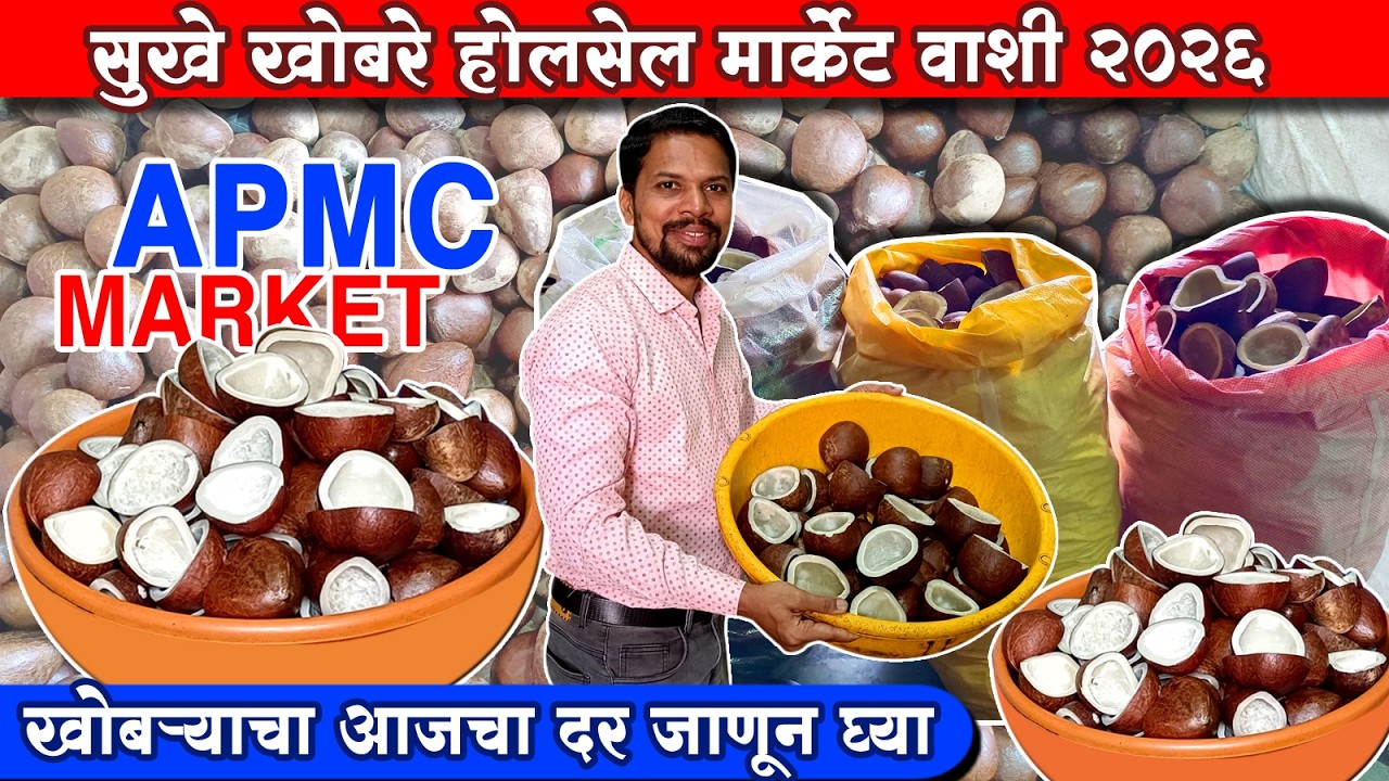 सुके खोबरे होलसेल मार्केट वाशी Wholesale Dry Coconut🥥Market | APMC Market Vashi 2026
