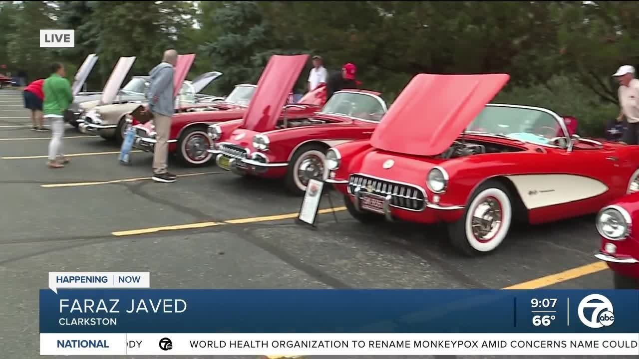 All Corvettes Show