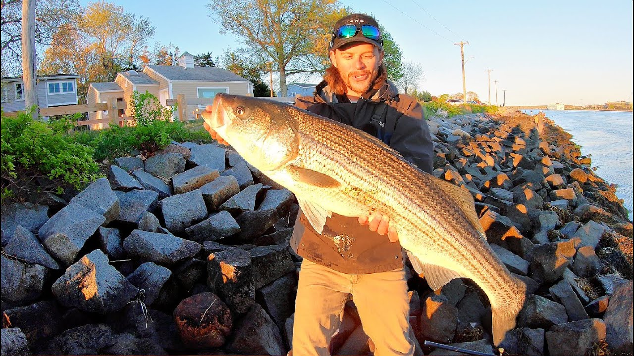 MONSTER Striped Bass in Cape Cod Canal! **Catch, Clean, & Cook**