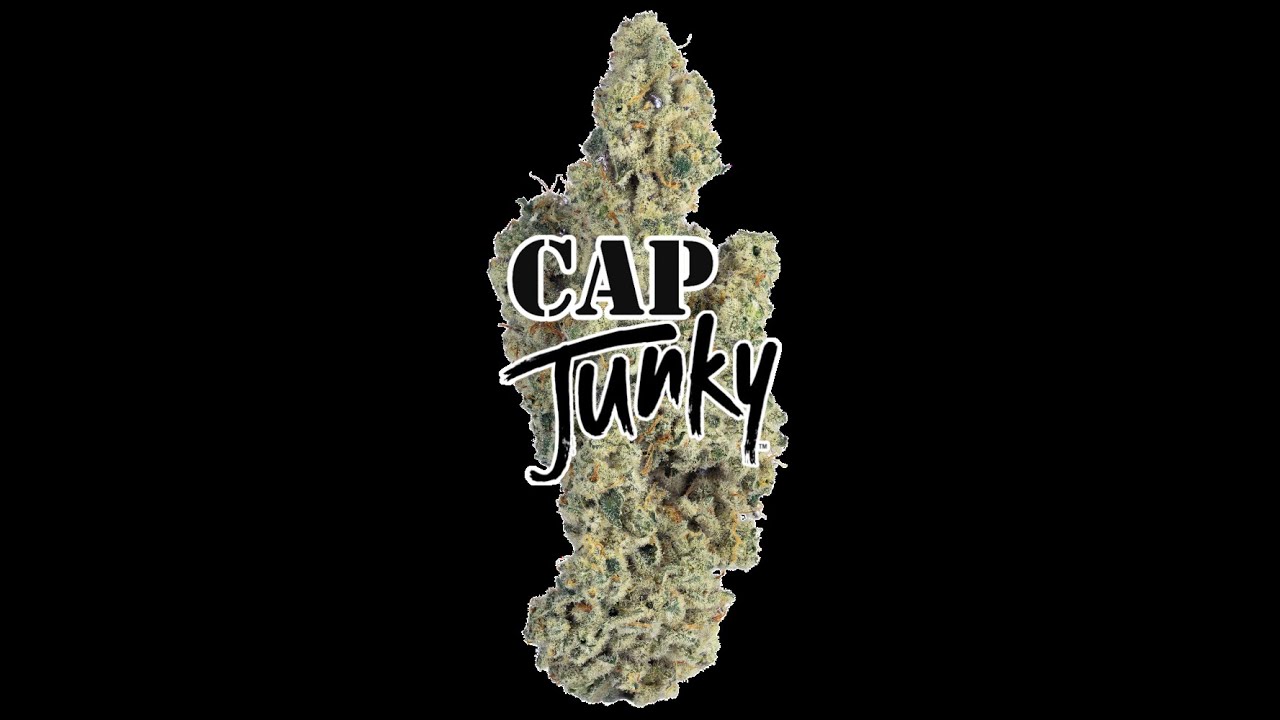 TERPENE TUESDAY - CAP JUNKY