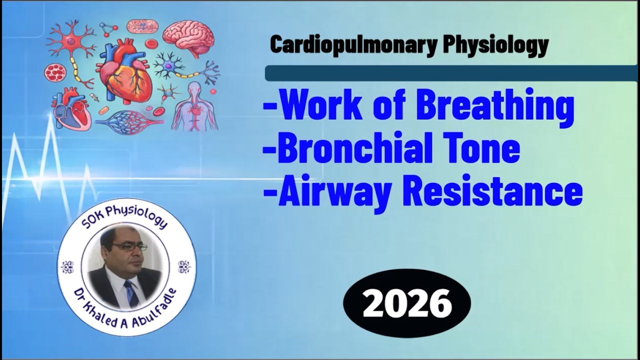 Work of Breathing, Bronchial Tone and Airway Resistance Physiology (3-2026) by Dr Khaled A Abulfadle