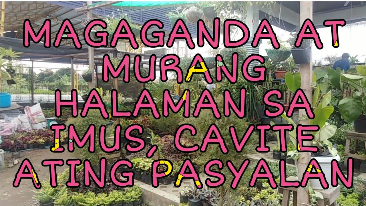 MAGAGANDA AT MURANG HALAMAN SA IMUS, CAVITE|ATING PASYALAN
