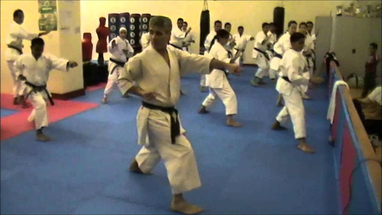 sensei luis maria sanz (6)
