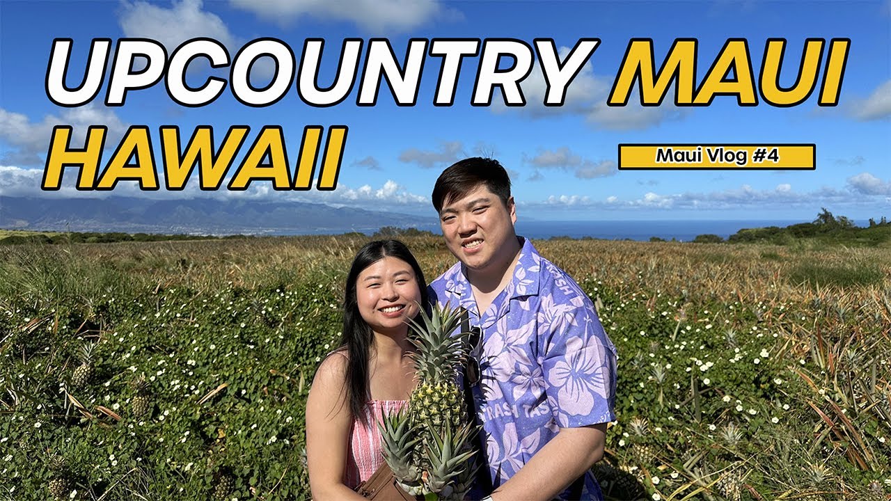 Things To Do in Upcountry Maui, Hawaii | Pineapple, Tea, & Alpaca Tour | Makawao | Mama's Fish House