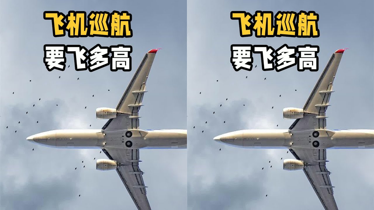 飛機要在萬米高空巡航的真正原因，遠遠超出你想象的省油！ #交通科技 #飞机科普 #高铁知识 #军事科技 #工程奇迹
