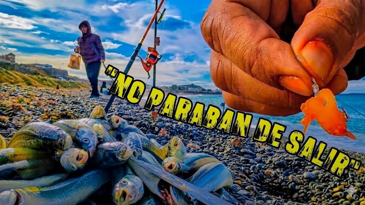 ¡LOCURA DE PESCA! 🤯 40 PECES en UNA MAÑANA desde la COSTA de la PATAGONIA
