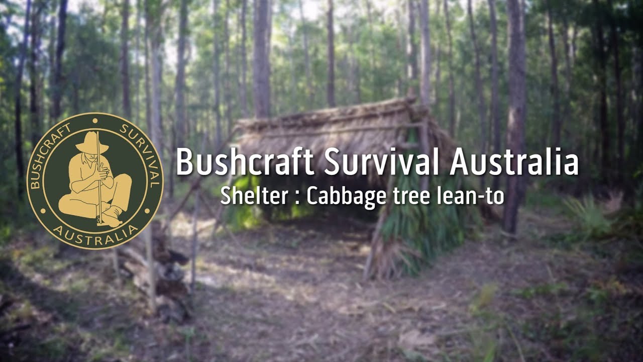 Bushcraft Survival Australia - Shelter: Cabbage tree lean-to