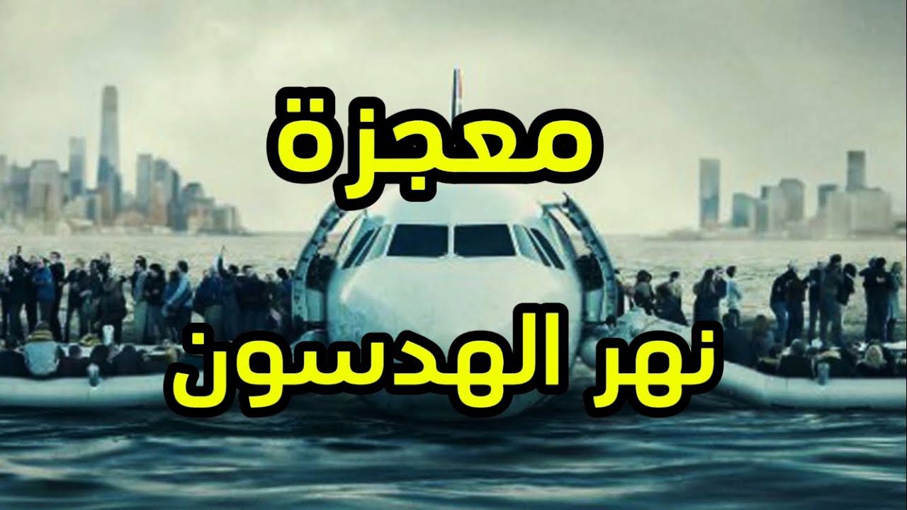 قصة الرحلة Cactus 1549