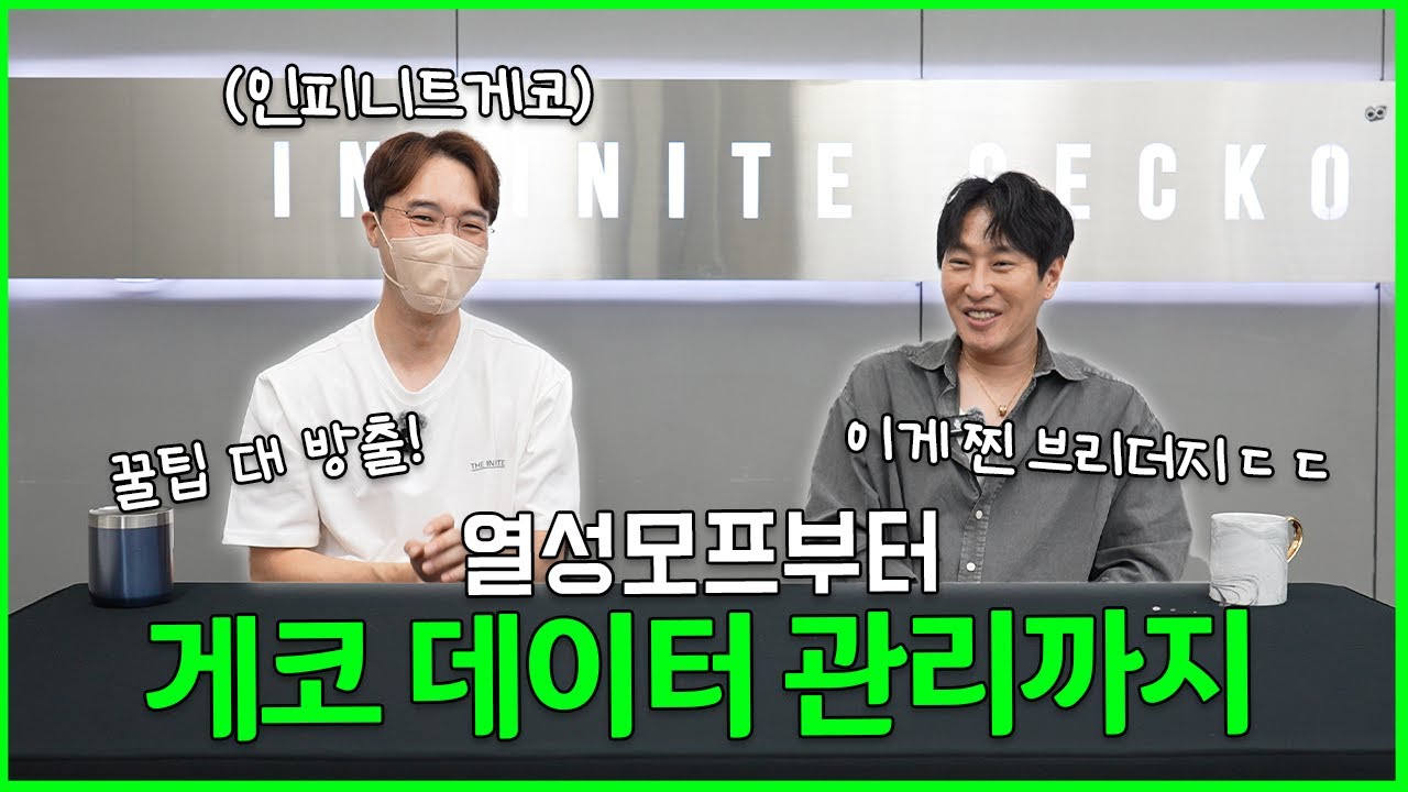 ⚠️브리더 필수시청⚠️ 열성모프부터 데이터관리까지 꿀팁 대방출! (인피니트게코) [렌코몬]