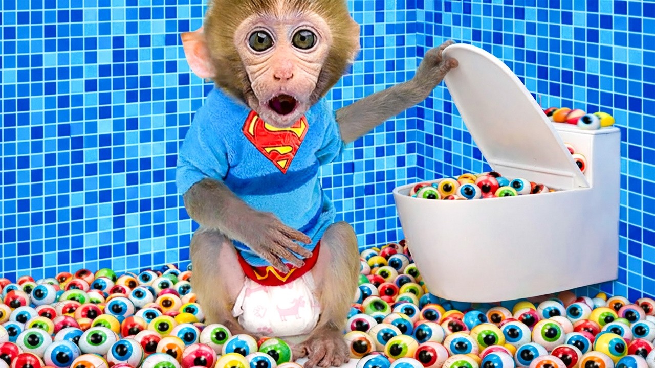 Monkey BonBon i wielka toaleta przygoda pełna śmiechu – Monkey Poland